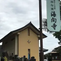 海向寺の写真・動画_image_195009