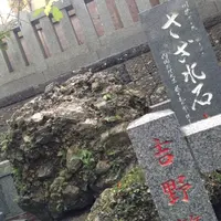 玉前神社の写真・動画_image_195090