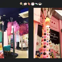 自由が丘スイーツフォレストの写真・動画_image_195237