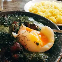 ヨゴロウ （YOGORO） の写真・動画_image_195331