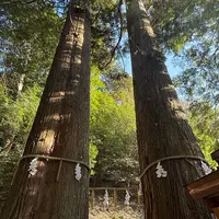 丹生川上神社 中社 相生の大杉の写真・動画_image_1953455