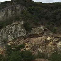 鶏知ダムの写真・動画_image_195391