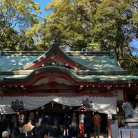 來宮神社の写真・動画_image_1954688
