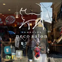 鎌倉ねこサロン KAMAKURA neco salonの写真・動画_image_195526