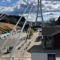 三島スカイウォーク ロングジップスライドの写真・動画_image_1958140