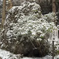 つつみヶ岩の写真・動画_image_1959547