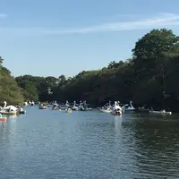 井の頭恩賜公園の写真・動画_image_195955