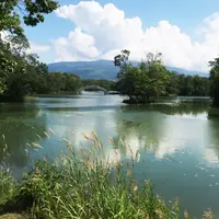 大沼国定公園の写真・動画_image_196127