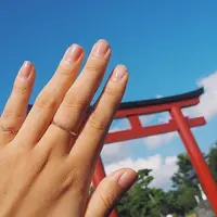 鶴岡八幡宮の写真・動画_image_196877