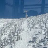 蔵王の樹氷の写真・動画_image_1968910