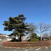 桜ヶ丘ロータリーの写真・動画_image_1969460