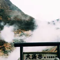 大涌谷の写真・動画_image_196994