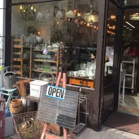 mu・mu(ムームー)の写真・動画_image_197174