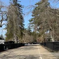 角館武家屋敷通りの写真・動画_image_1973041