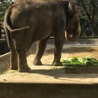 姫路市立動物園の写真・動画_image_197775
