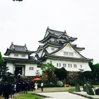 岸和田城の写真・動画_image_197782