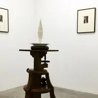 MEMの写真・動画_image_198094