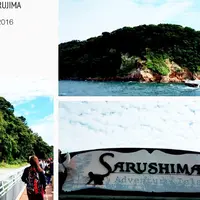 猿島の写真・動画_image_198259