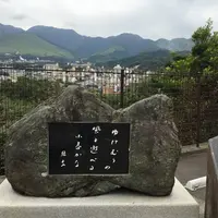 湯けむり展望台の写真・動画_image_198391
