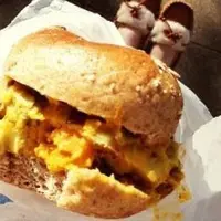 マルイチベーグルの写真・動画_image_198426