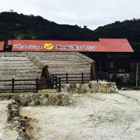 岡本屋売店の写真・動画_image_198475