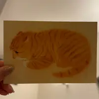 mooon shopの写真・動画_image_1986488