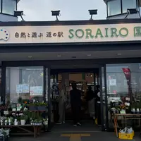道の駅 SORAIRO国上 DAY CAMPの写真・動画_image_1988314