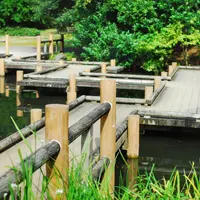 哲学堂公園の写真・動画_image_198978