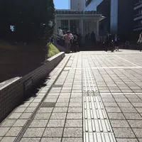 スターバックスコーヒー 新宿サザンテラス店の写真・動画_image_199001