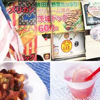 国営ひたち海浜公園の写真・動画_image_199423