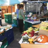 チョビアグリの写真・動画_image_199501