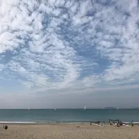 森戸海岸の写真・動画_image_199540