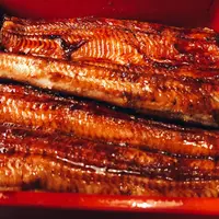 うなぎ亭 友栄の写真・動画_image_200103