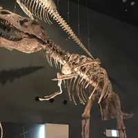 神奈川県立生命の星・地球博物館の写真・動画_image_200104