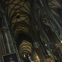 シュテファン大聖堂（Stephansdom）の写真・動画_image_200261