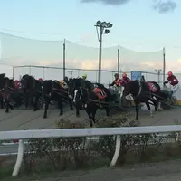 帯広競馬場（ばんえい十勝）の写真・動画_image_200348