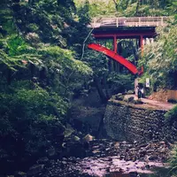 等々力渓谷の写真・動画_image_200459