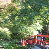 河鹿橋の写真・動画_image_200483