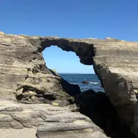 城ヶ島 馬の背洞門の写真・動画_image_2004973