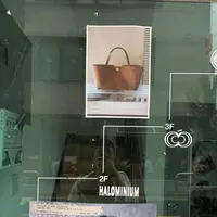 mondemondeの写真・動画_image_2009033