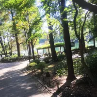 井の頭恩賜公園の写真・動画_image_201075