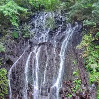 飛烟の滝の写真・動画_image_201183
