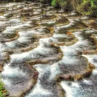 滝通り周辺の写真・動画_image_201190