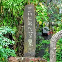 養生館はるのひかりの写真・動画_image_201210