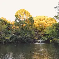 和田堀公園の写真・動画_image_201274
