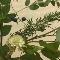 代々木上原駅の写真・動画_image_201452
