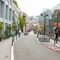 キャットストリートの写真・動画_image_201473