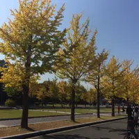 国営昭和記念公園の写真・動画_image_201626