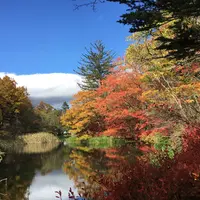 雲場池の写真・動画_image_201675