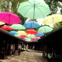 ハルニレテラスの写真・動画_image_201681